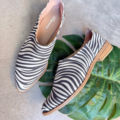 CHATITAS GILLY ZEBRA PUNTA FINA